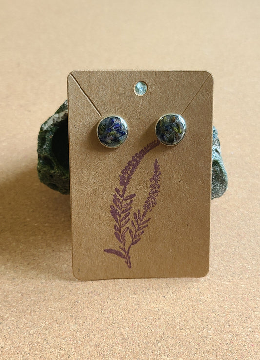 Dried Flower Stud Earrings