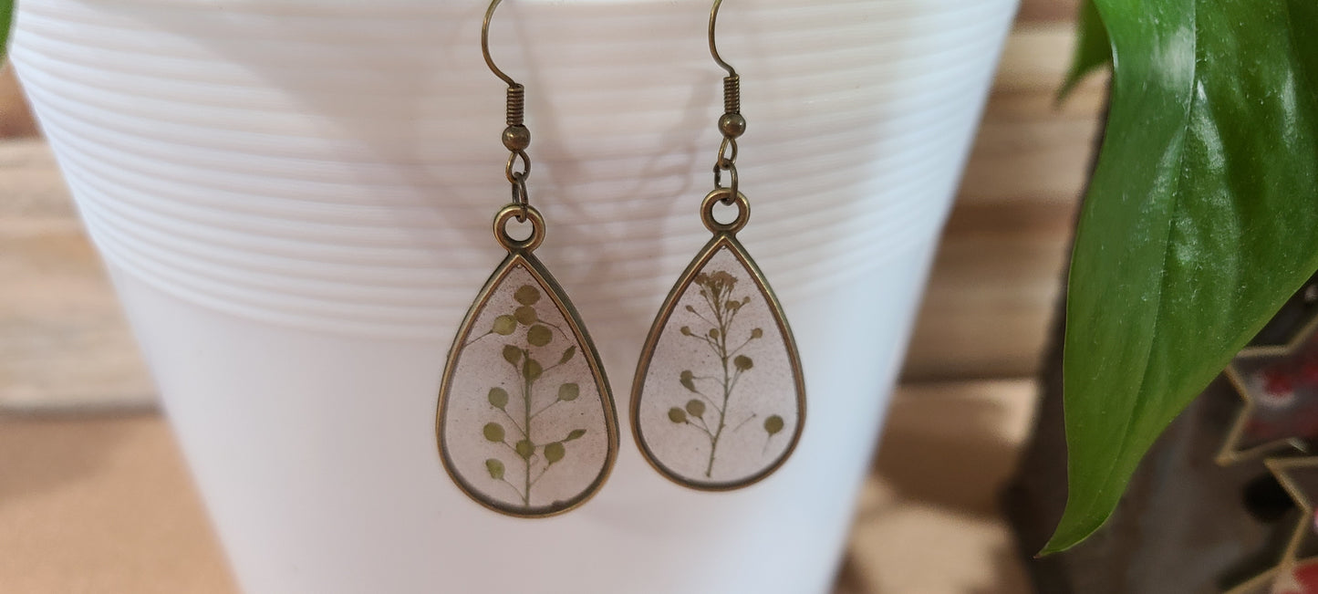 Dried Flower Earrings