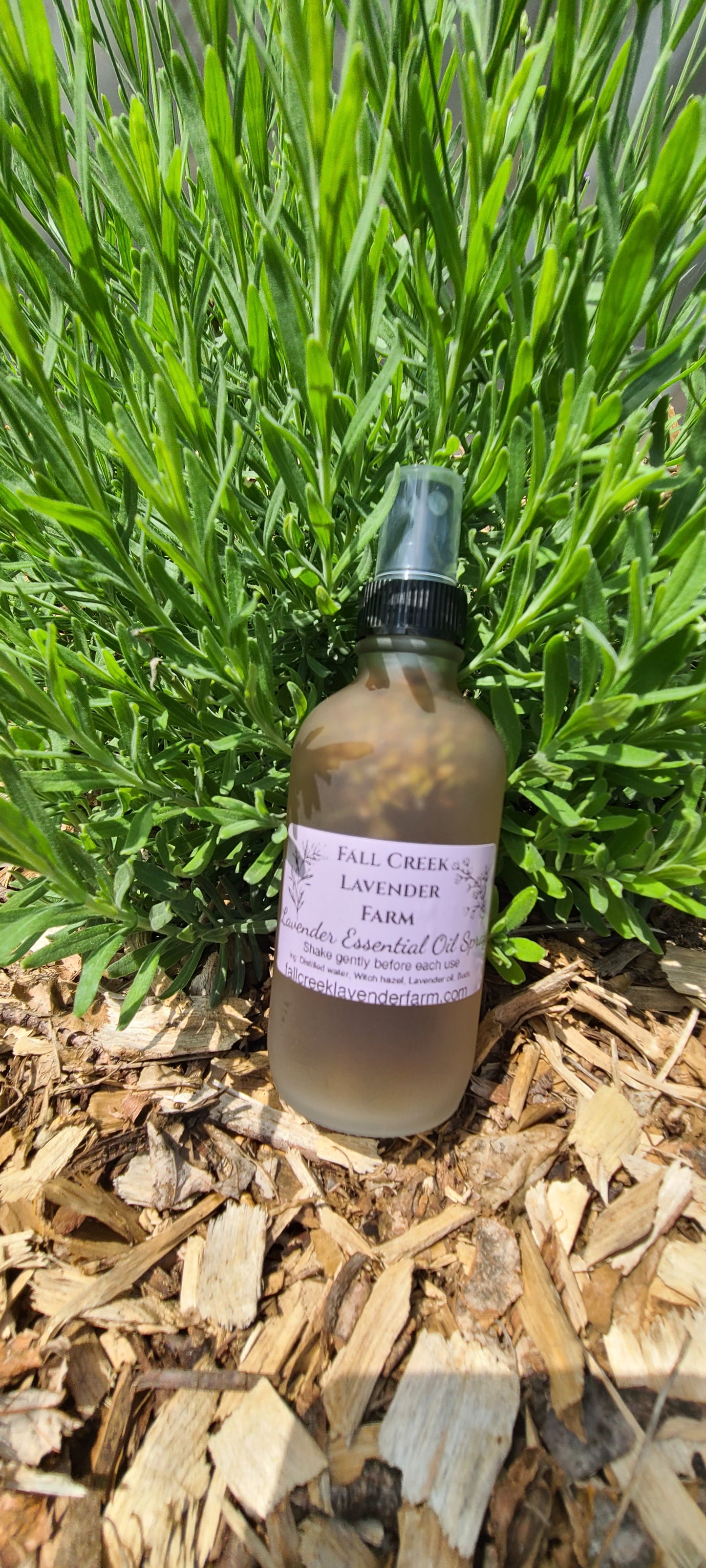 Lavender Essential Oil Spray